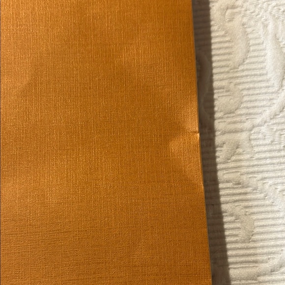 Louis Vuitton Bold Orange Bag and envelope. - Picture 9 of 10